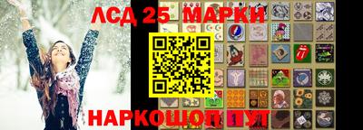 крисы Кандалакша