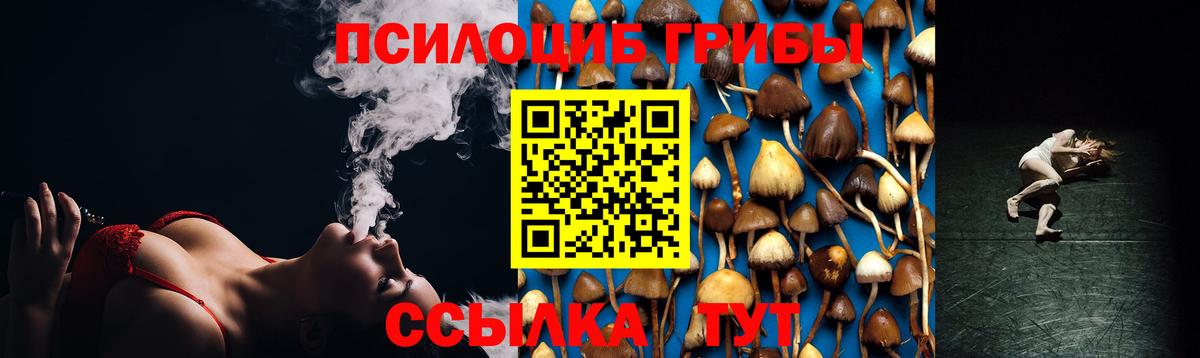Галлюциногенные грибы Psilocybe  Галлюциногенные грибы прущие грибы  Избербаш  цена   Вход с VPN 