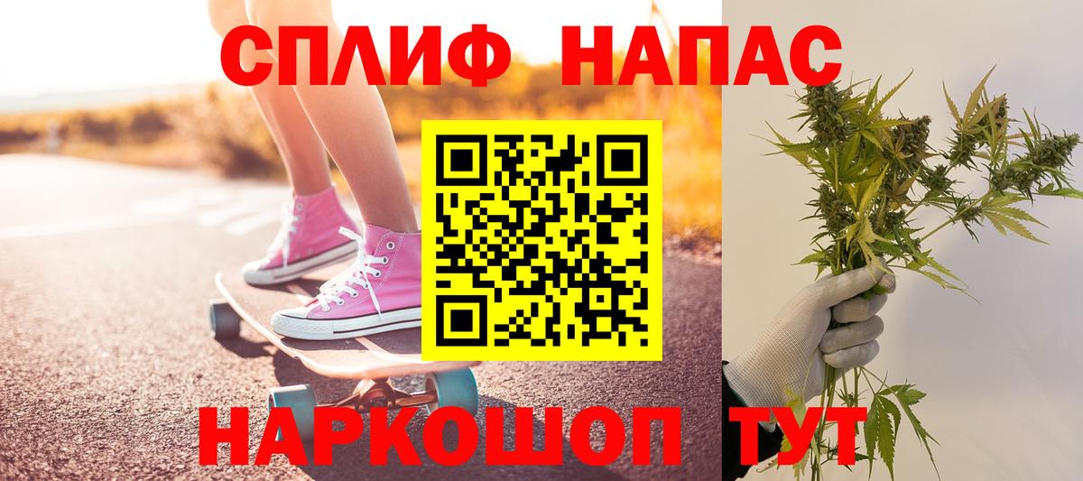 Канабис сатива Избербаш